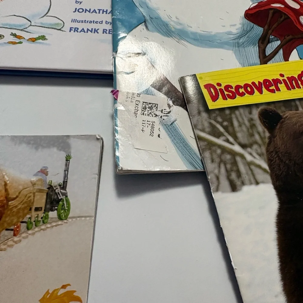Winter/Hibernation book set of 6